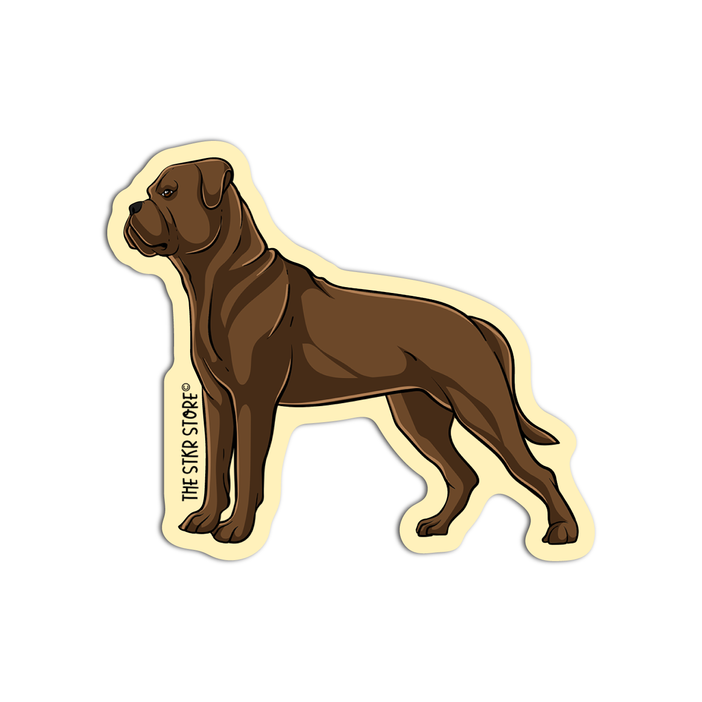 Cane Corso Dog Breed