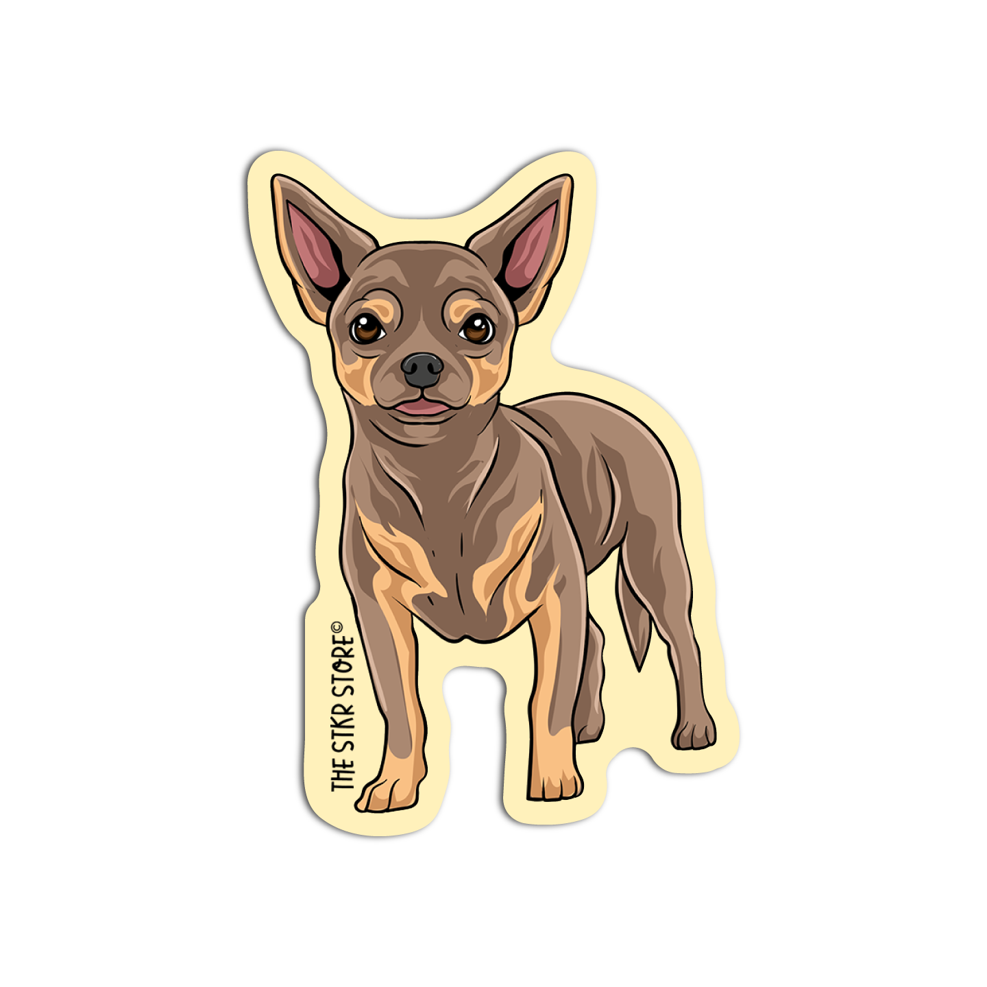 Chihuahua Dog Breeds