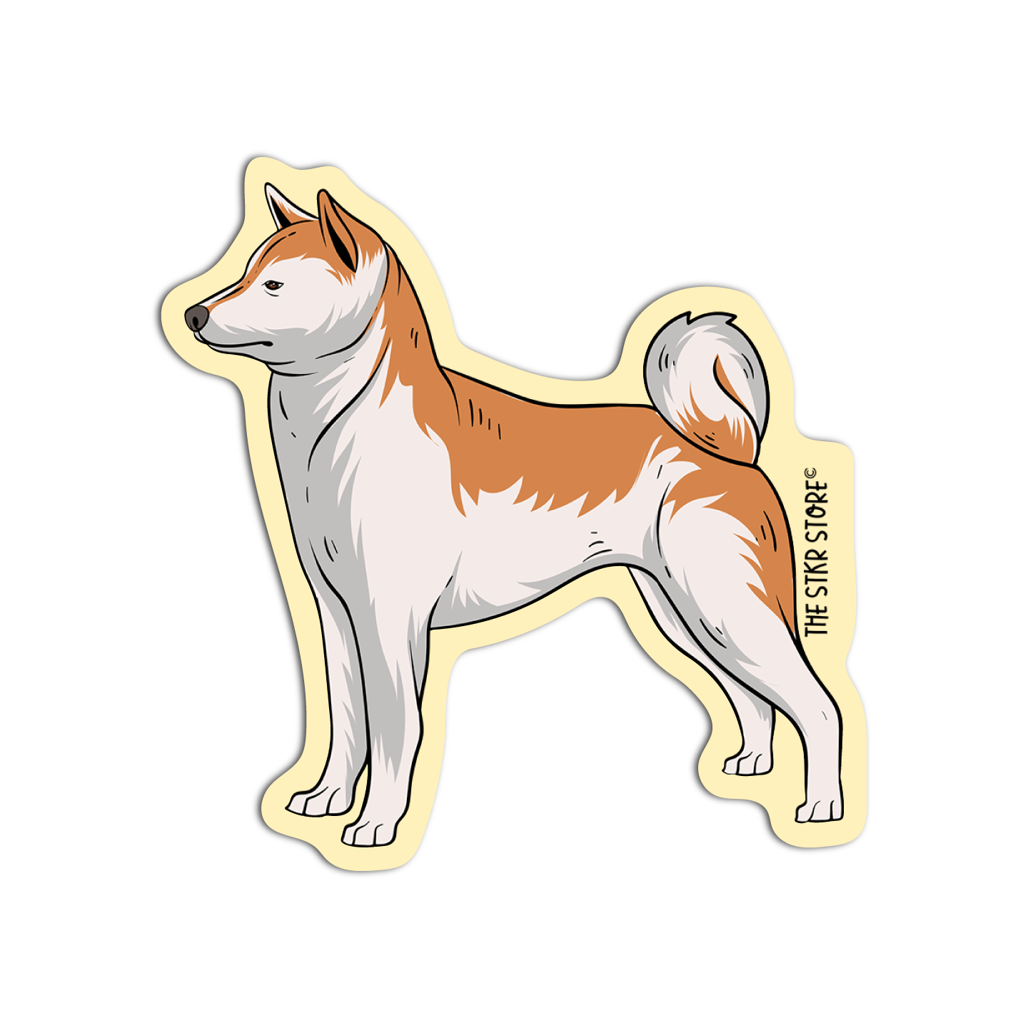 Shiba Inu Dog Breed