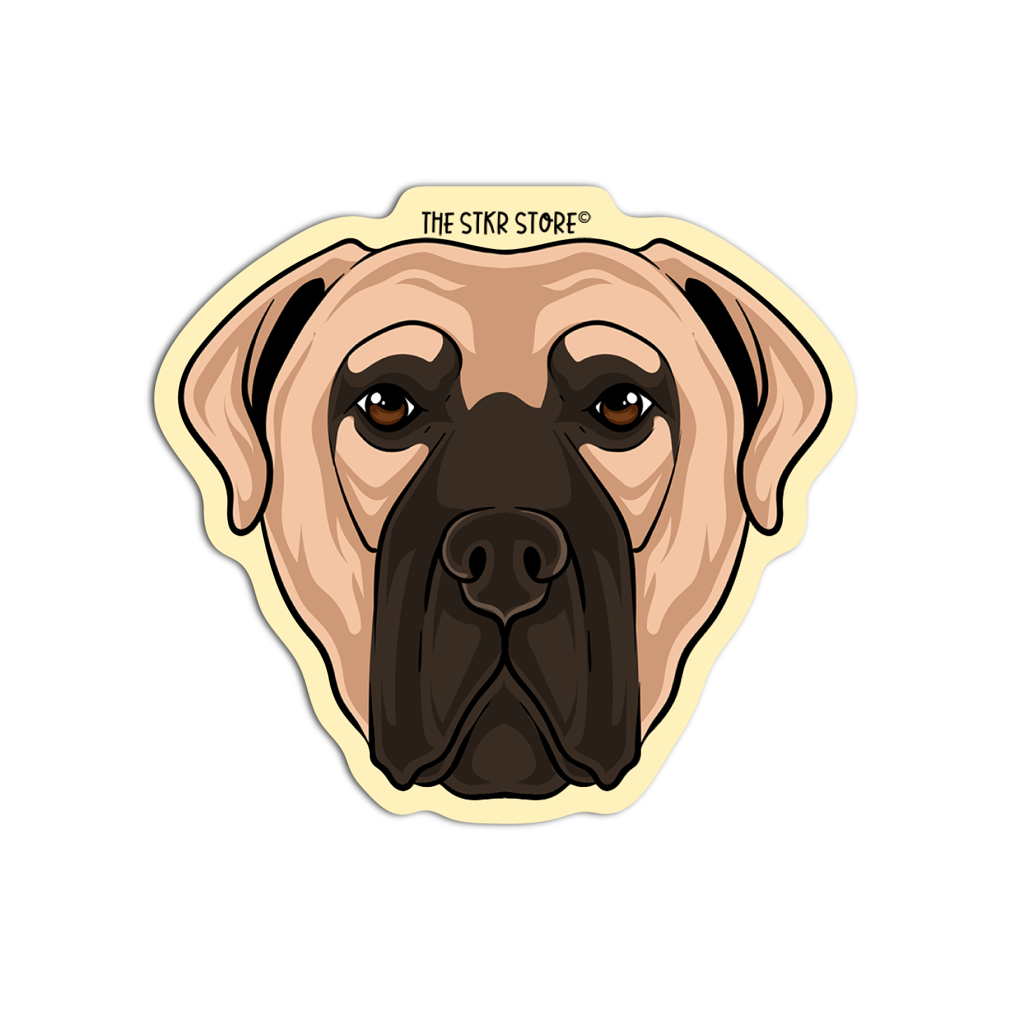 Bullmastiff head Dog Breed