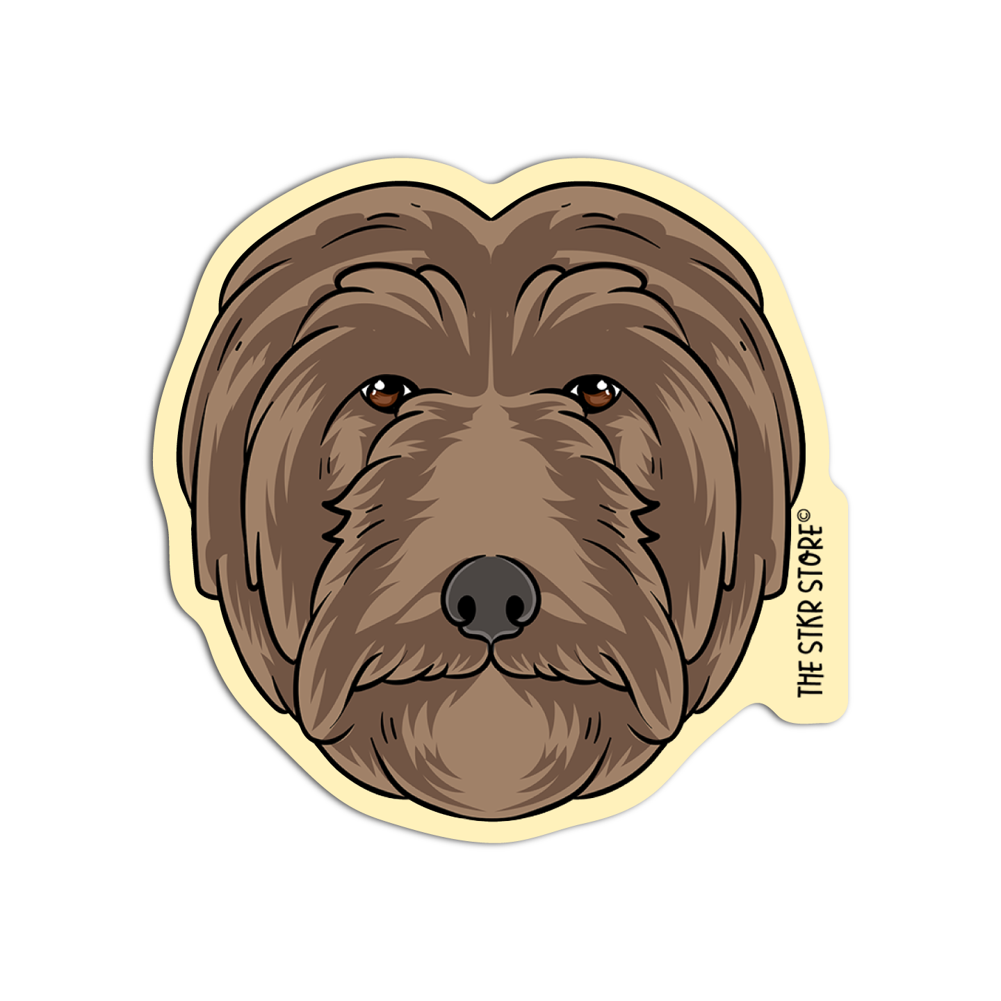 Labradoodle head Dog Breed