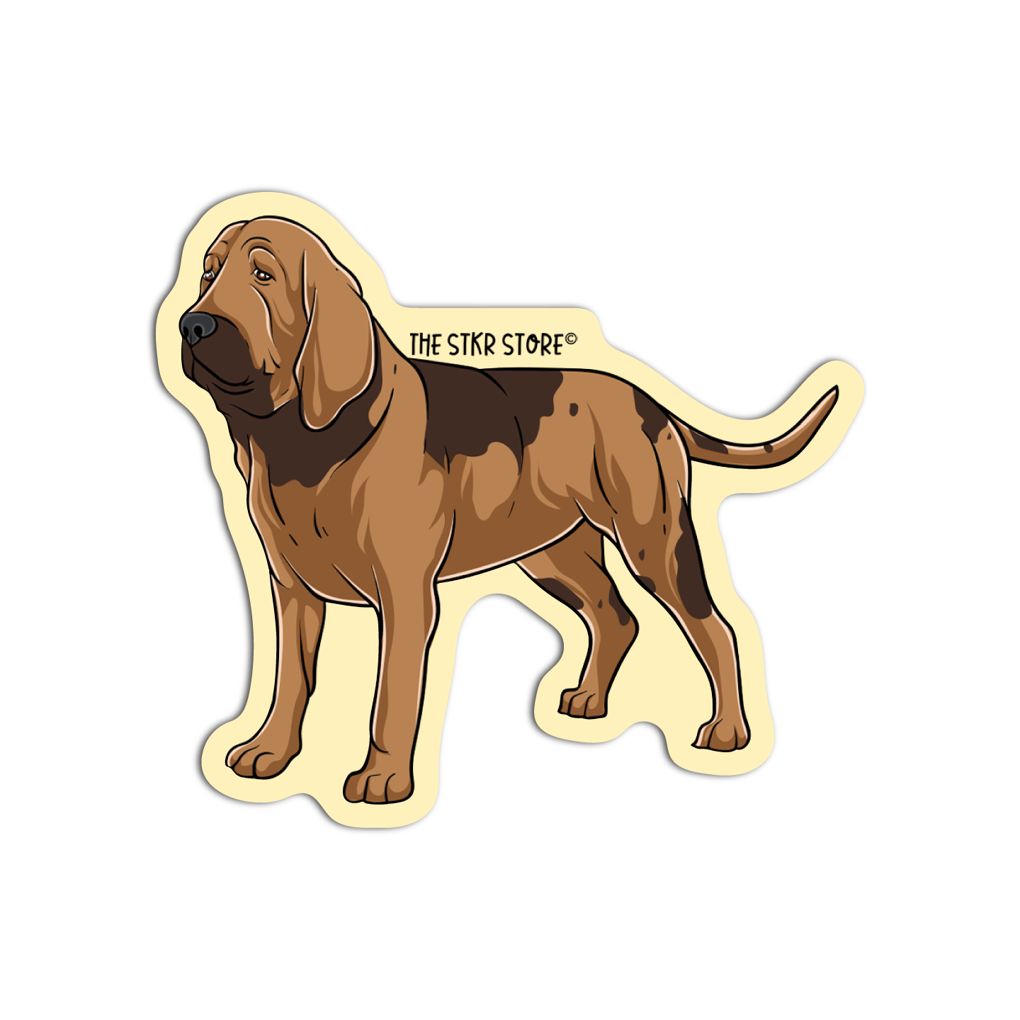 Bloodhound Dog Breed