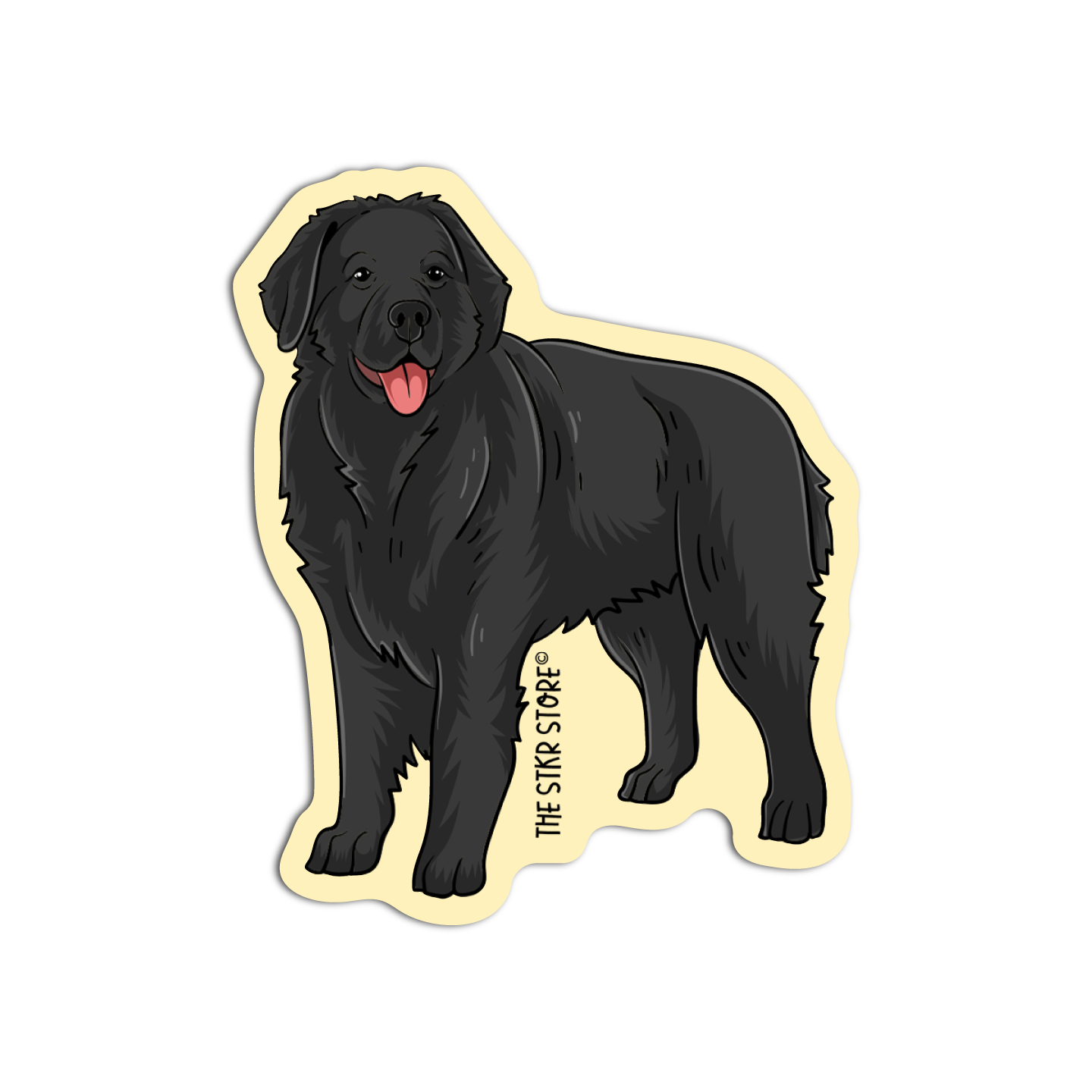 Newfoundland dog Dog Breed