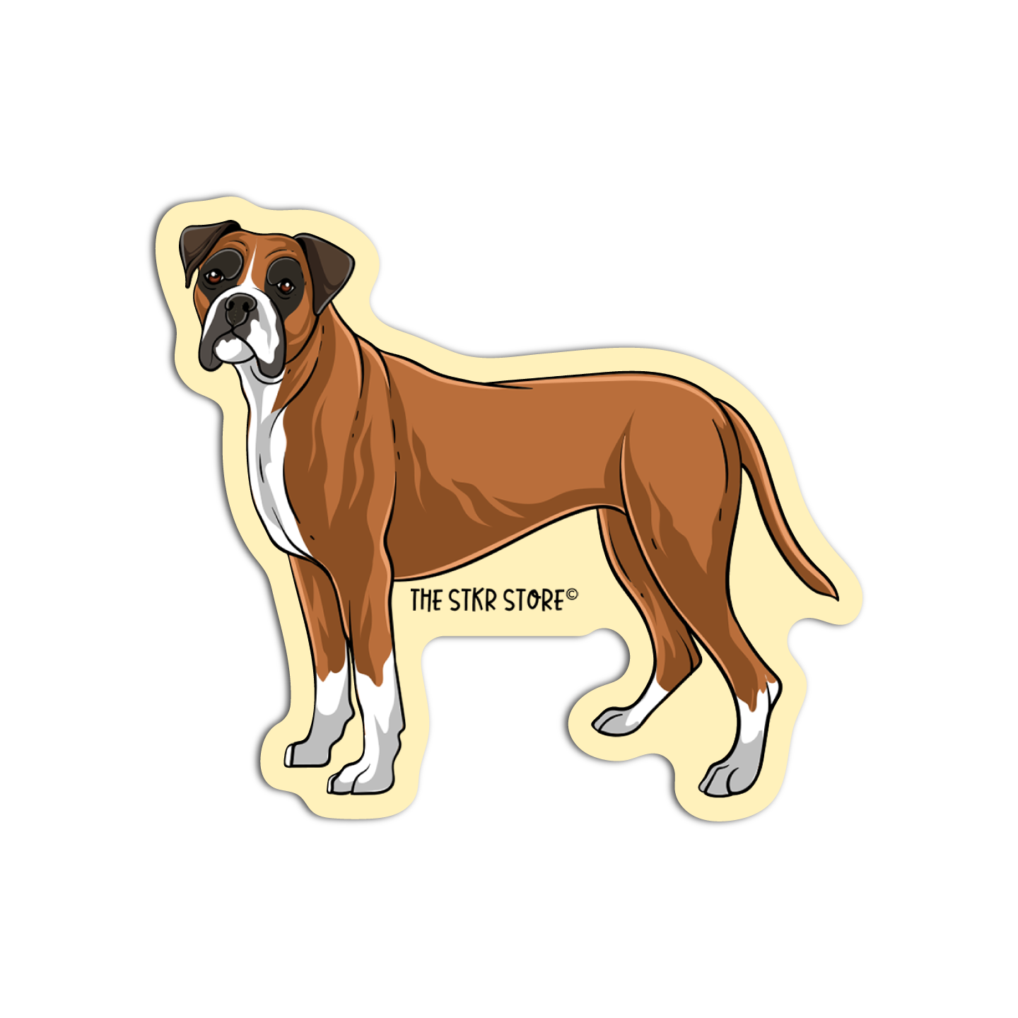 Boxer Dog Breed
