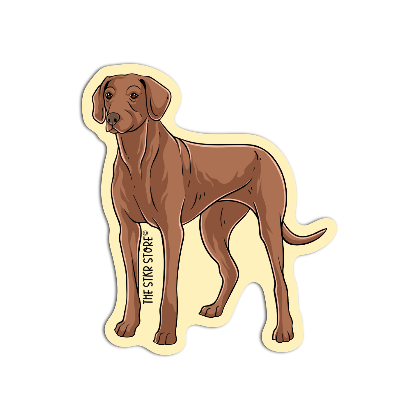 Rhodesian Ridgeback Dog Breed