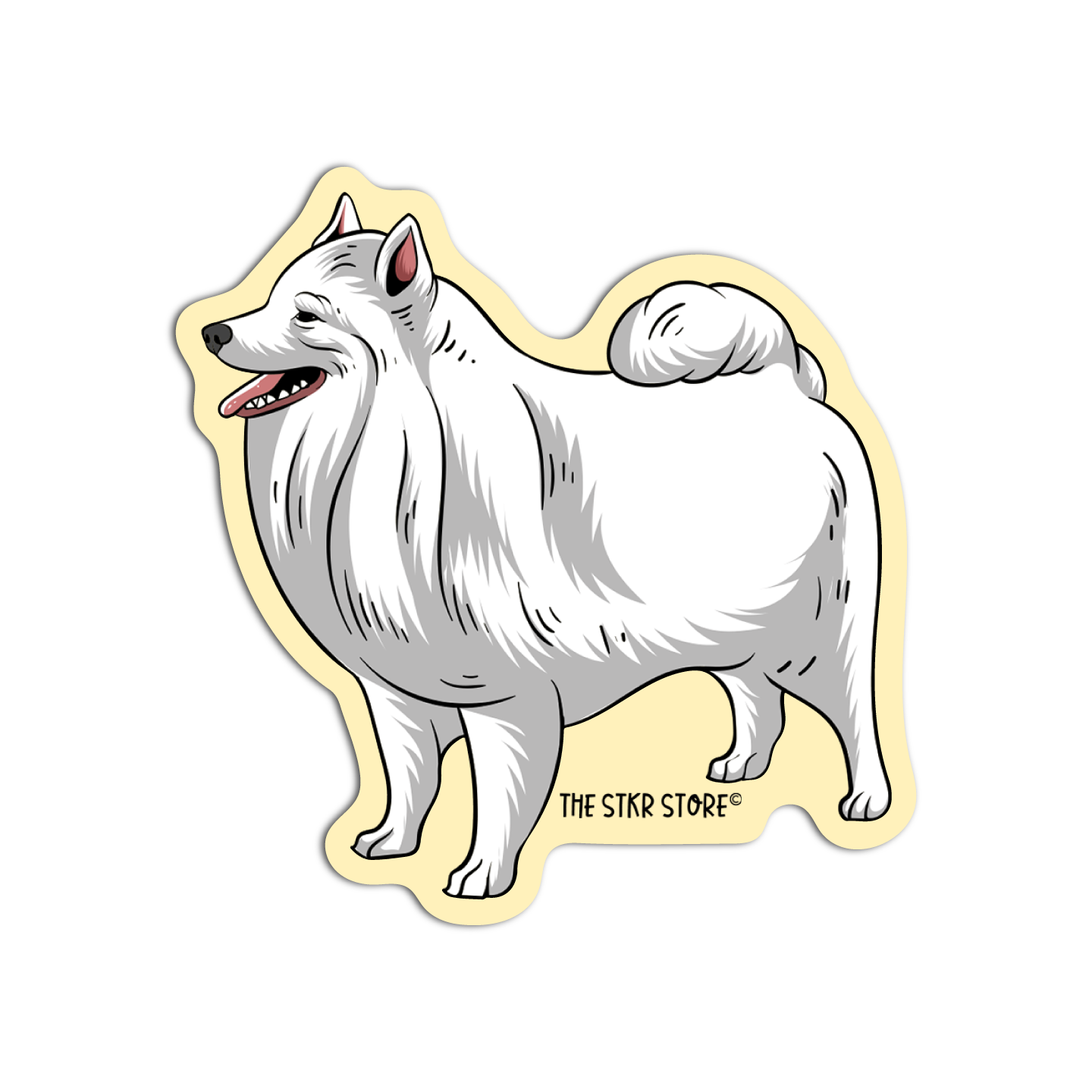 Japanese Spitz Dog Breed