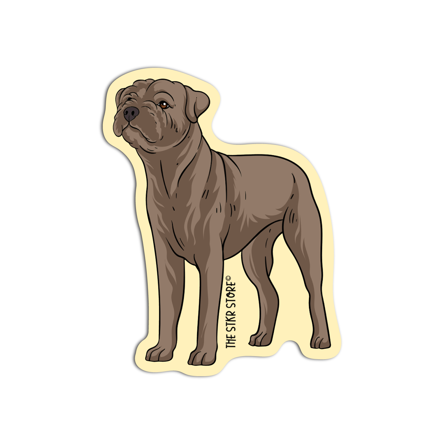 Shar Pei Dog Breed