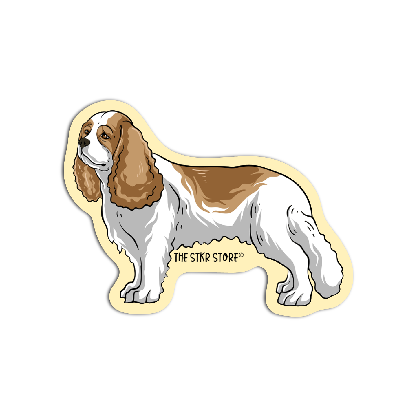 Cavalier King Charles Spaniel Dog Breed