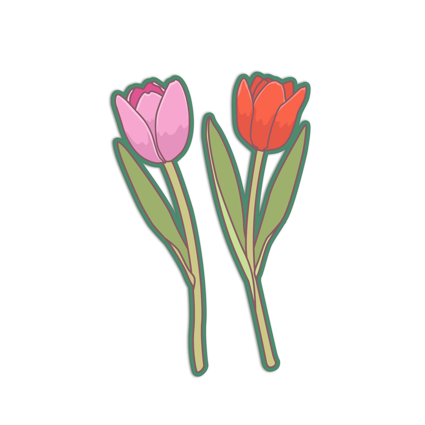 Two stylized tulips, one pink and one red, on a white background.