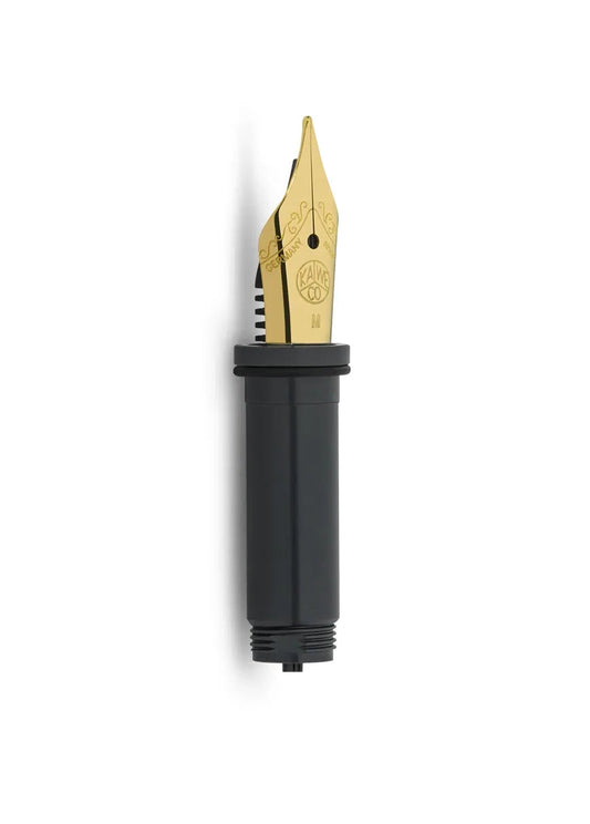Fountain pen nib with gold writing tip and black body on a white background