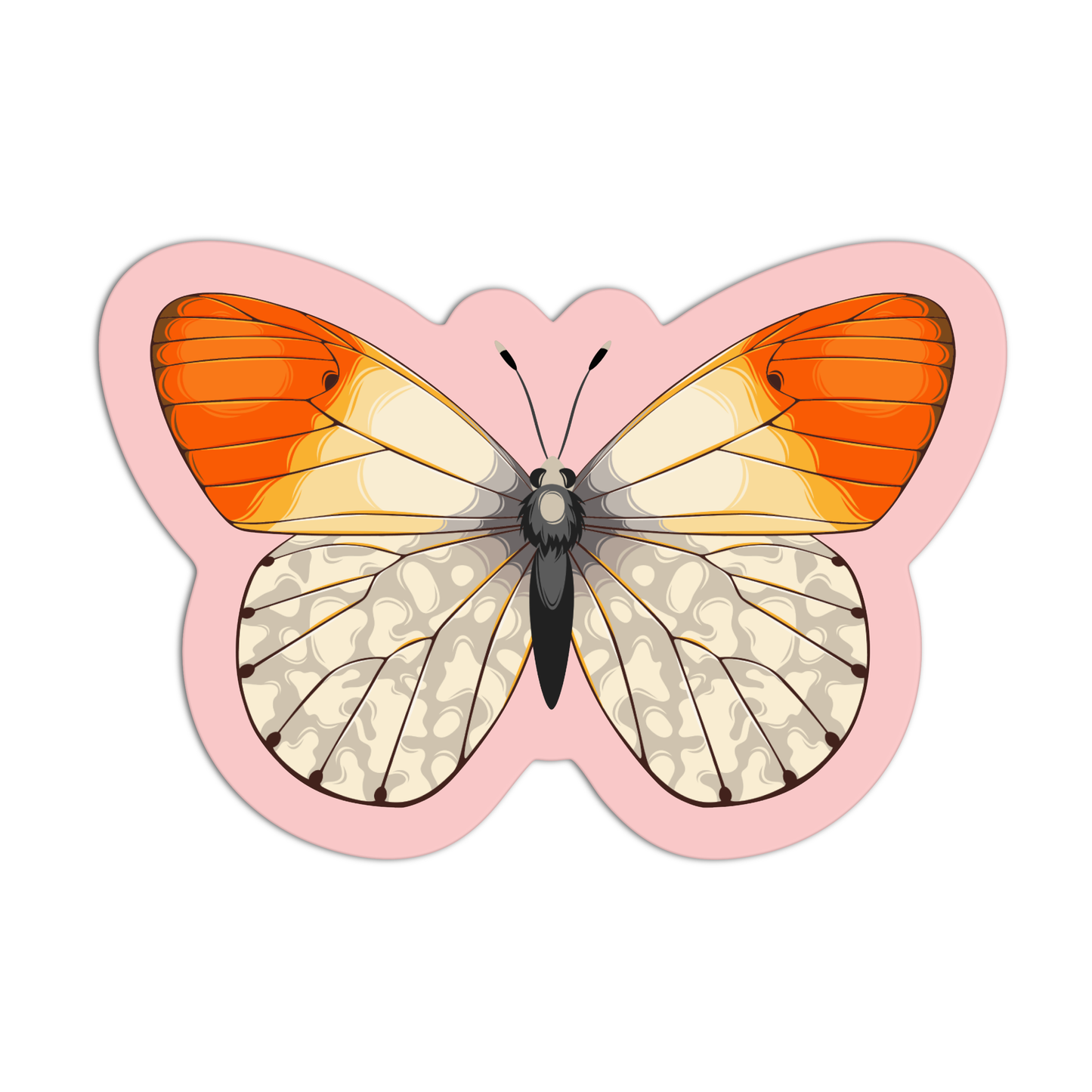 Orange tip butterfly Sticker