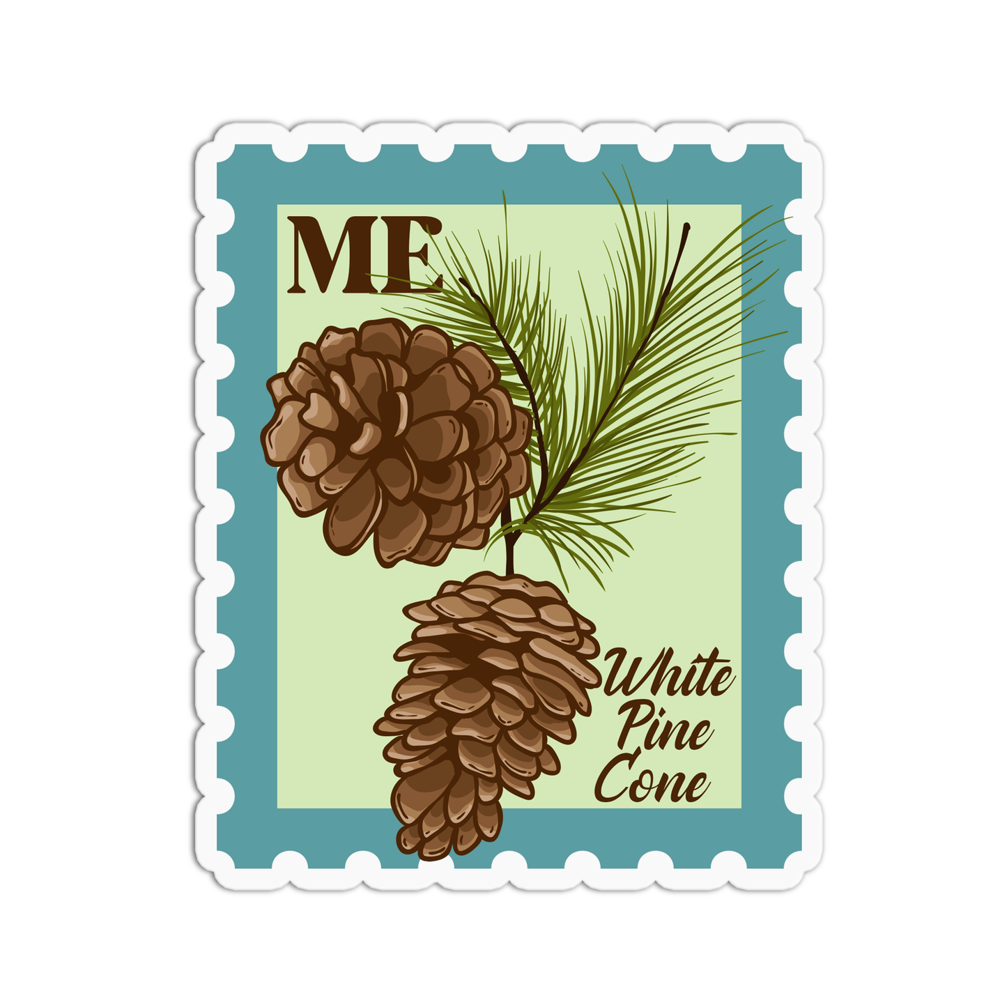 Maine White Pine Cone State Flower Stamp Sticker