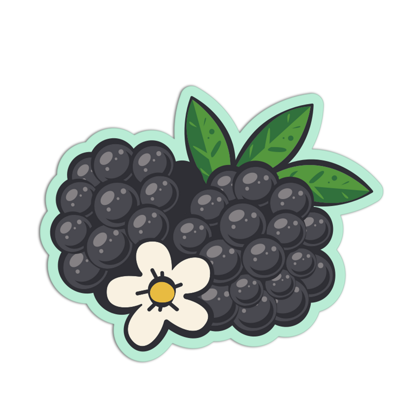 Illustration of blackberries with a flower on a white background