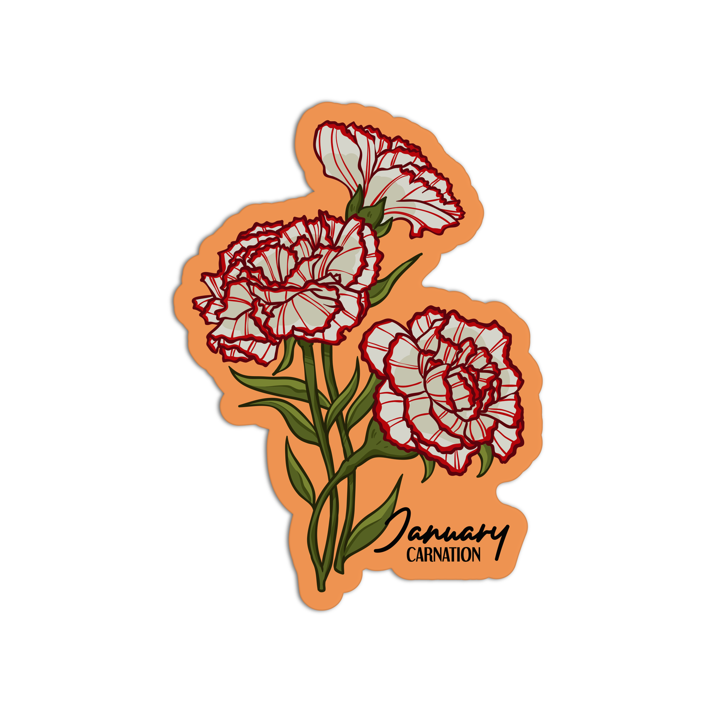 January Carnation Birthflower Sticker