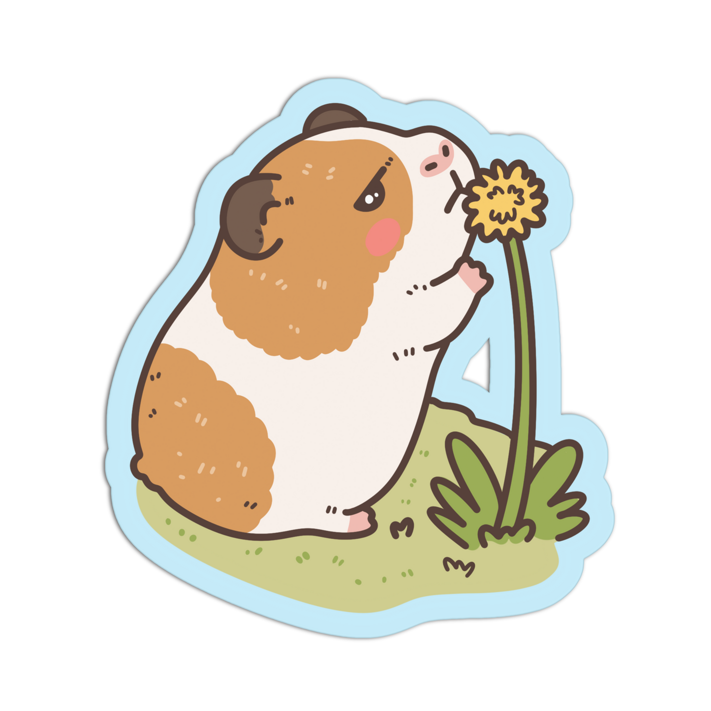 A cute cartoon sticker of a brown and white guinea pig sniffing a yellow flower, set on a light blue die-cut background with a white border.