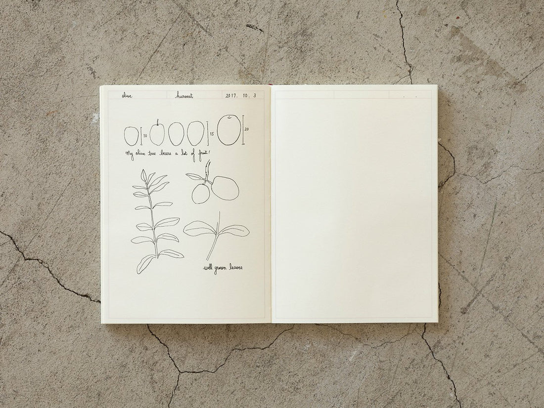Midori MD Notebook Journal A5 Frame