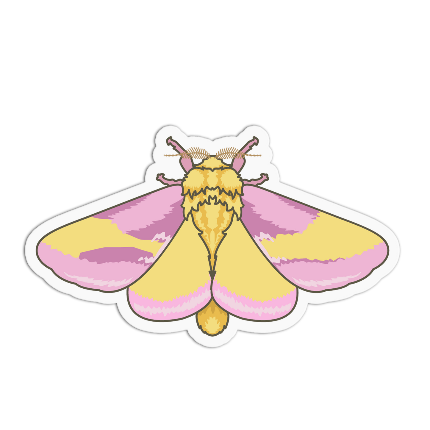 Rosy Maple Moth Series Stickers
