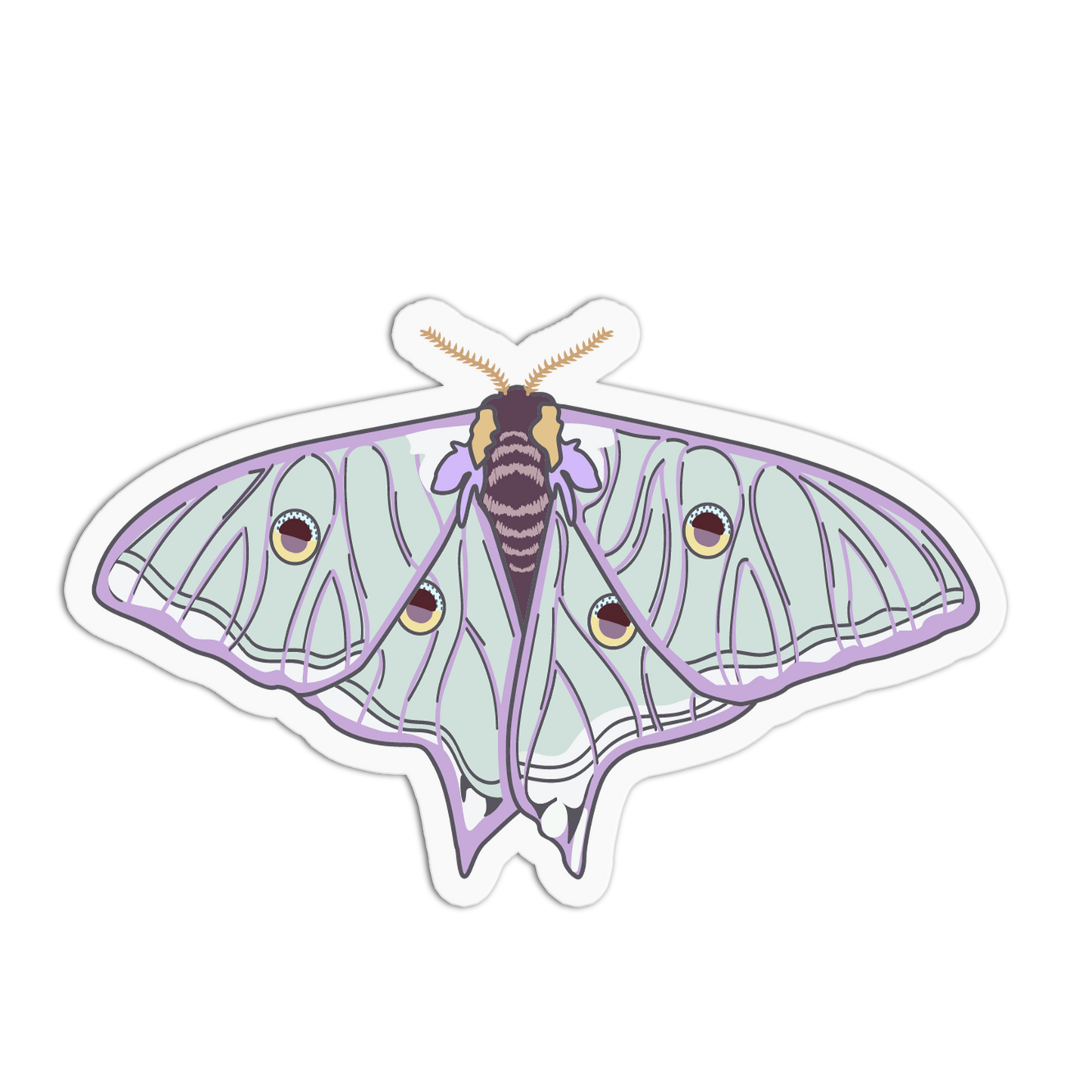 Spanish Moon Moth Series Stickers