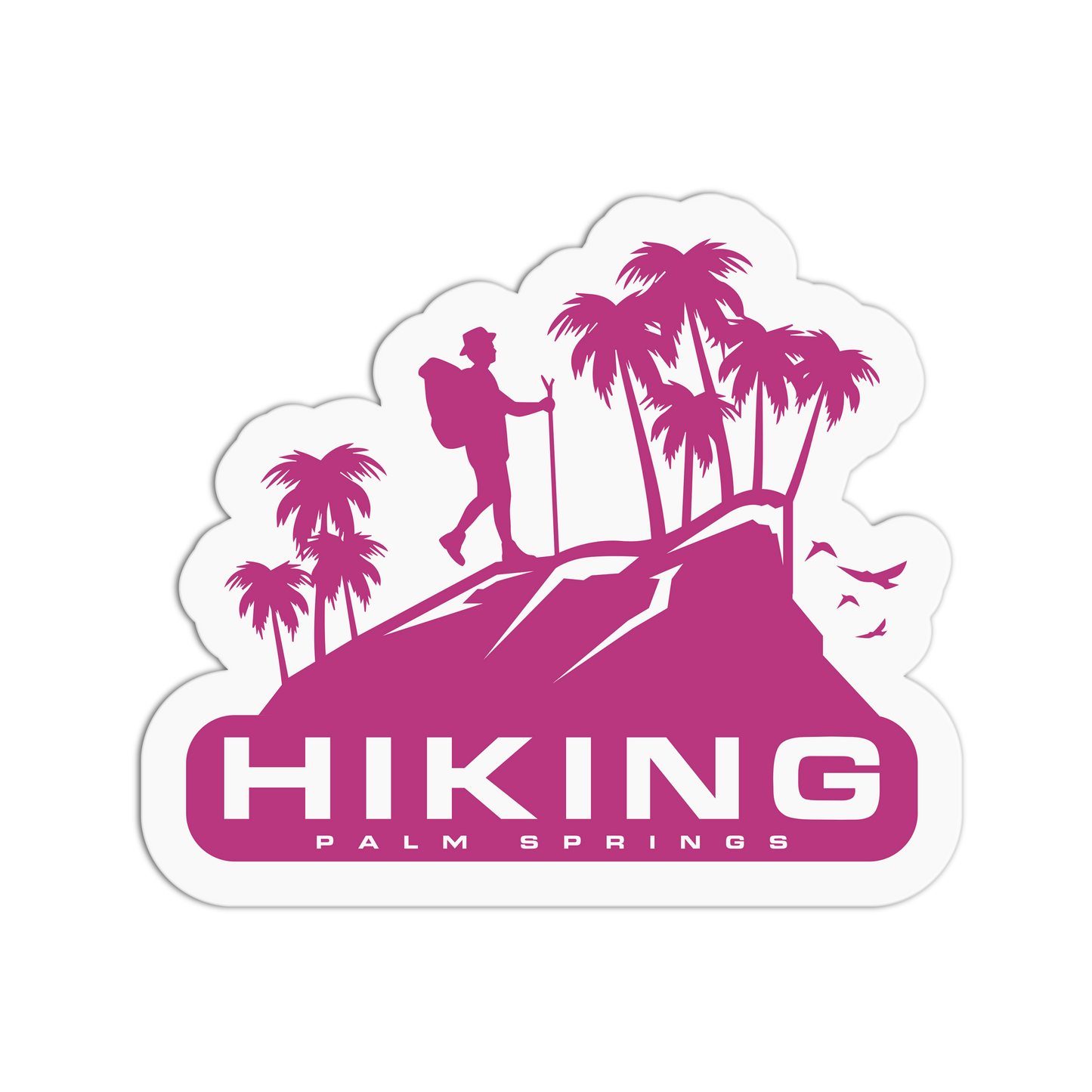 Hiking Travel Series Palm Spring Stickers