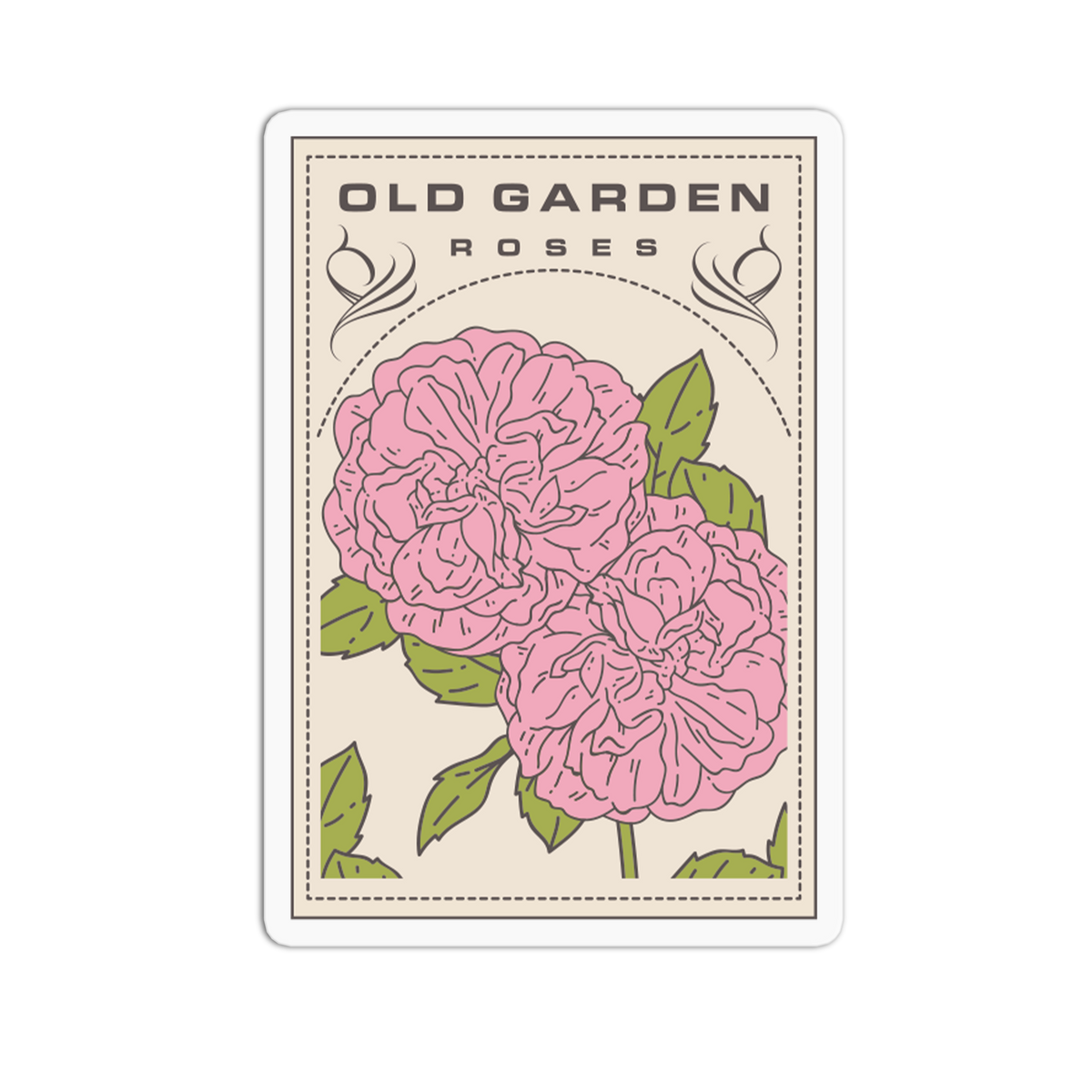 Old Garden - Rose Packet Sticker