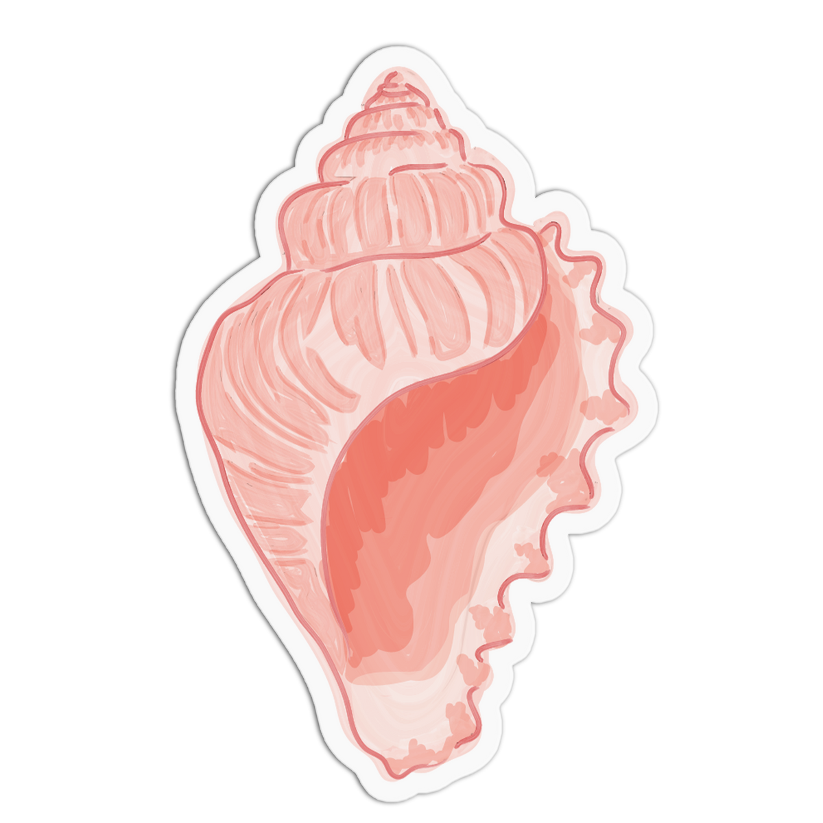 Blush Conch Sea Shells Sticker