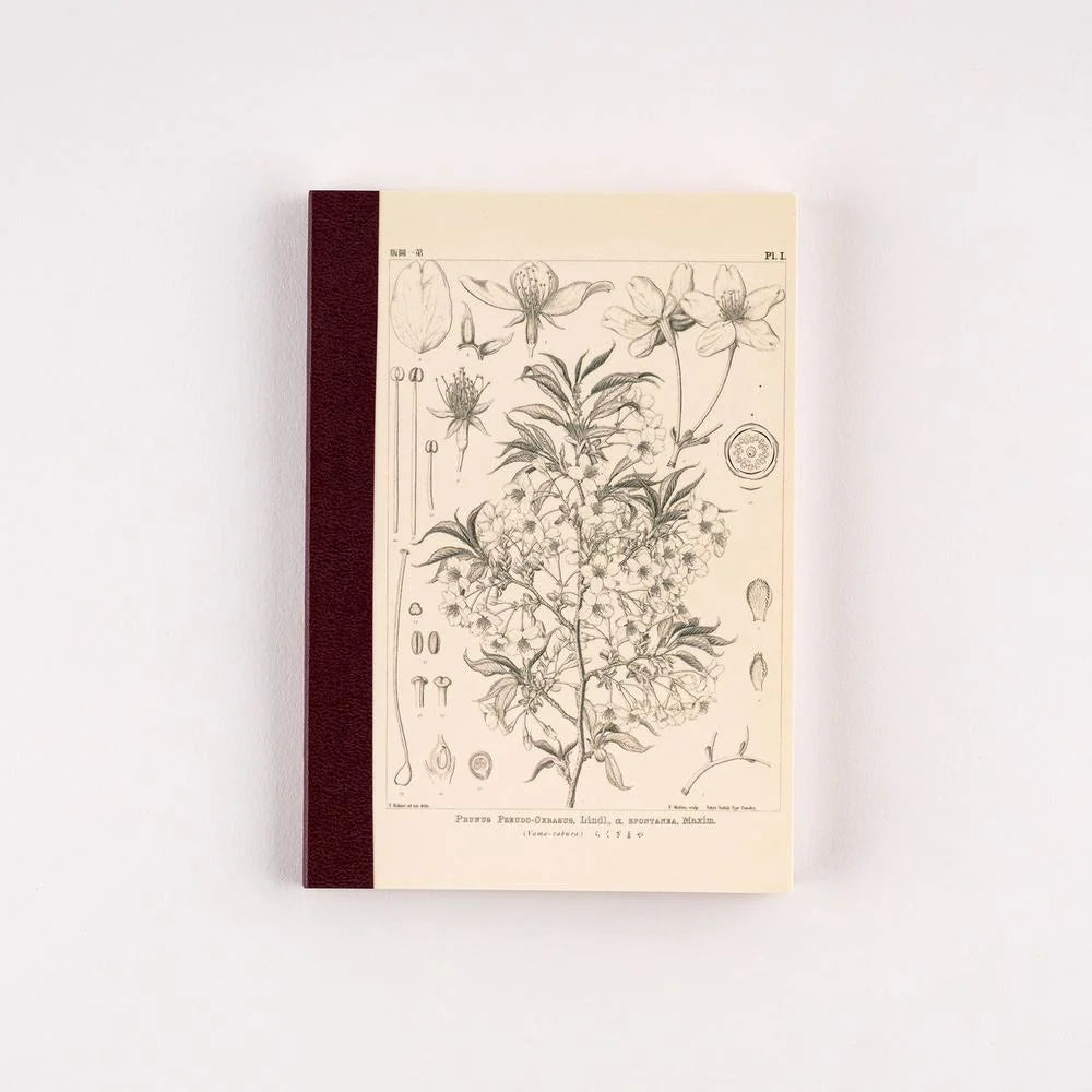 Hobonichi Techo Accessories Tomitaro Makino: Hobonichi Graph Notebook / Coming Soon!
