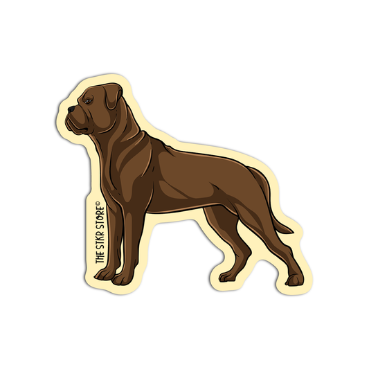 Cane Corso Dog Breed