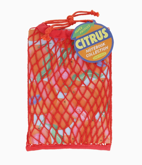 Paper Produce Citrus Notebook Collection