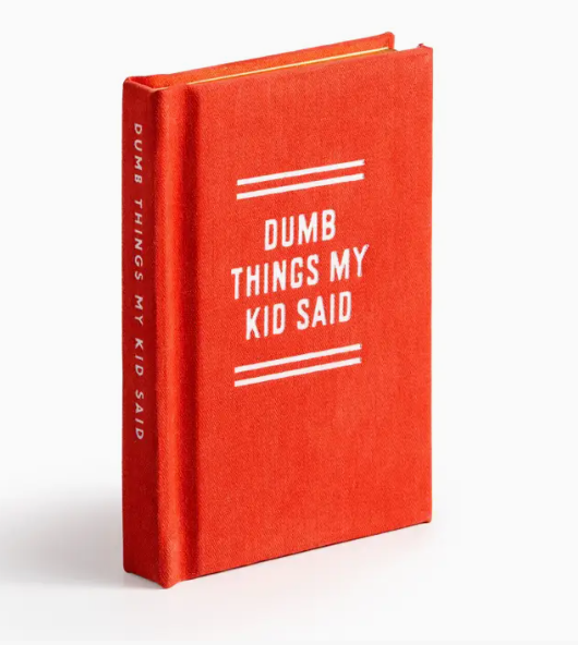 Red book titled 'Dumb Things My Kid Said' on a white background