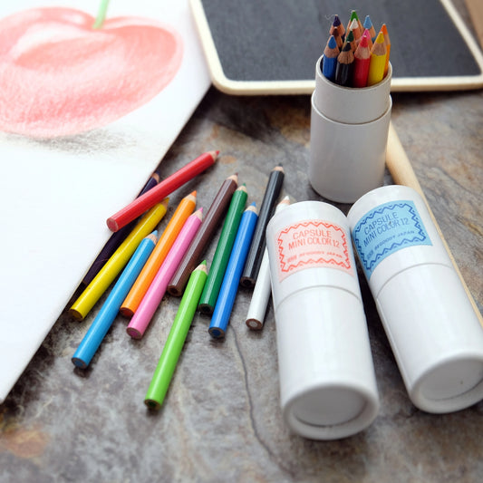 Mini Capsule Color Pencil 12 Set - The Stkr Store