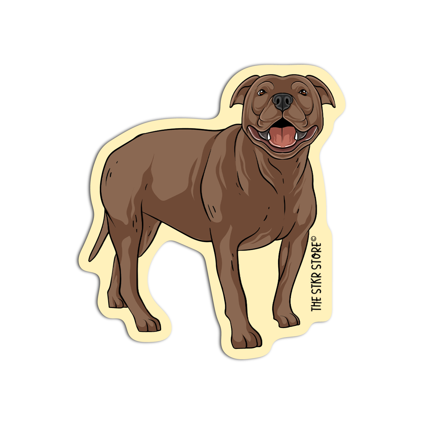 Pitbull Dog Breed