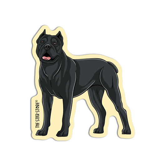 Cane Corso Dog Breeds