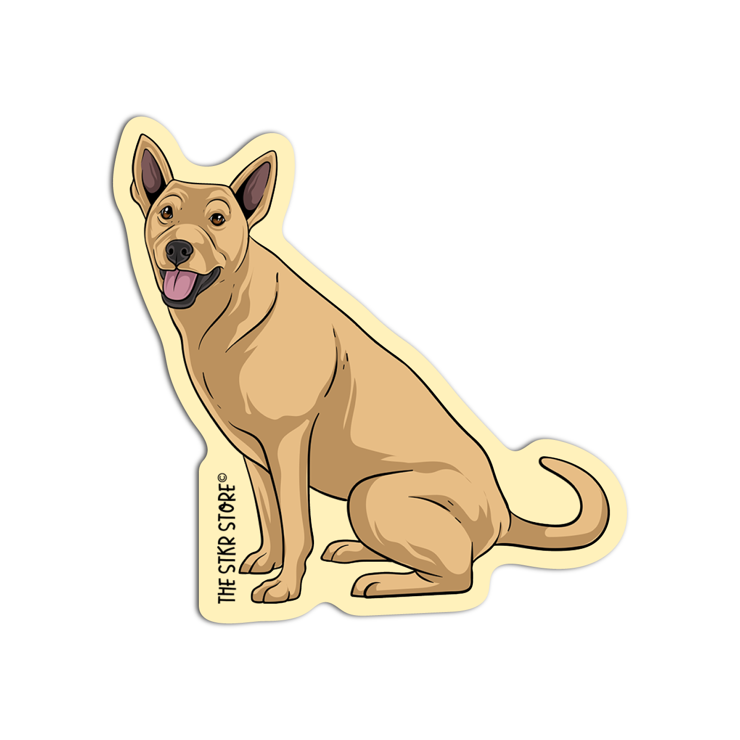 American Dingo Carolina Dog Breed