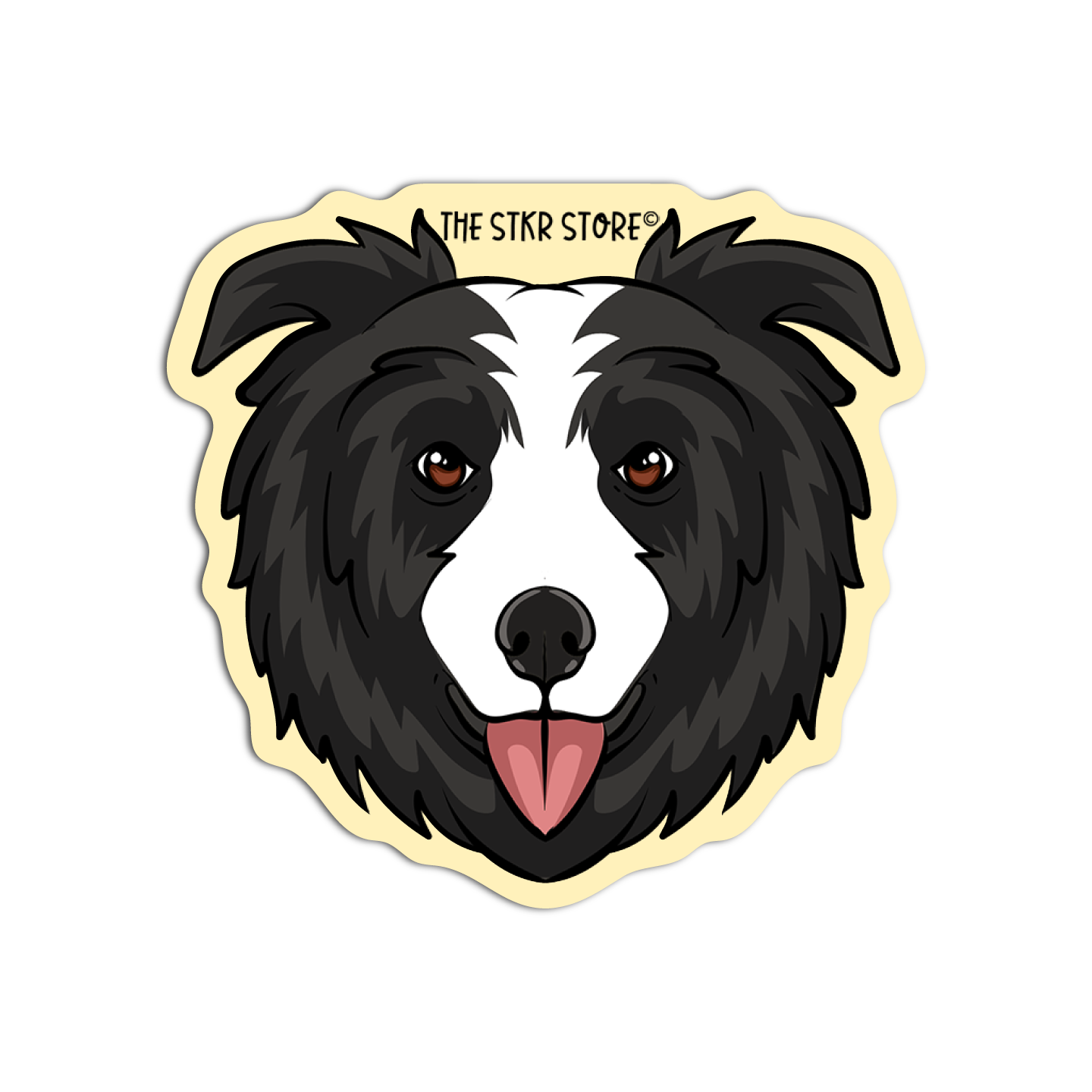 Border Collie Dog Breed