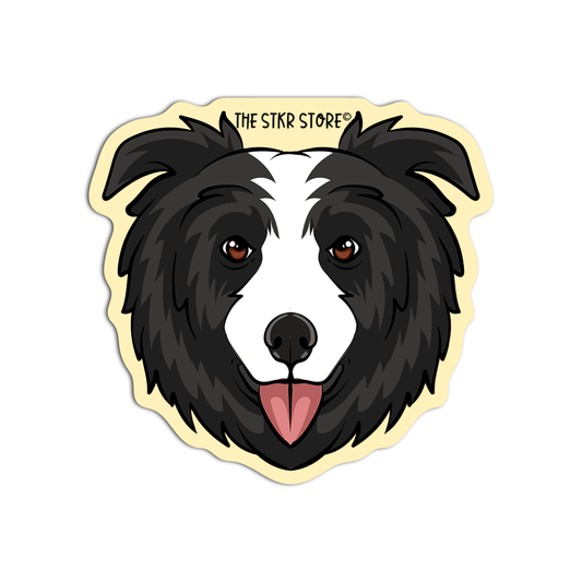 Border Collie Dog Breed