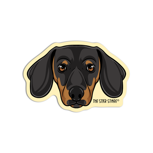 Dachshund Dog Breed