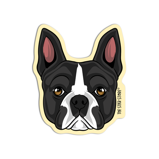 Boston Terrier Dog Breed