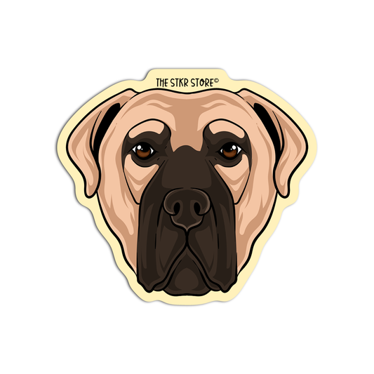 Bullmastiff head Dog Breed