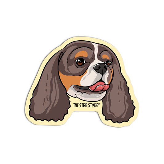 Cavalier King Charles Spaniel head Dog Breed