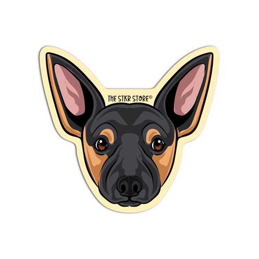 Chihuahua head Dog Breed