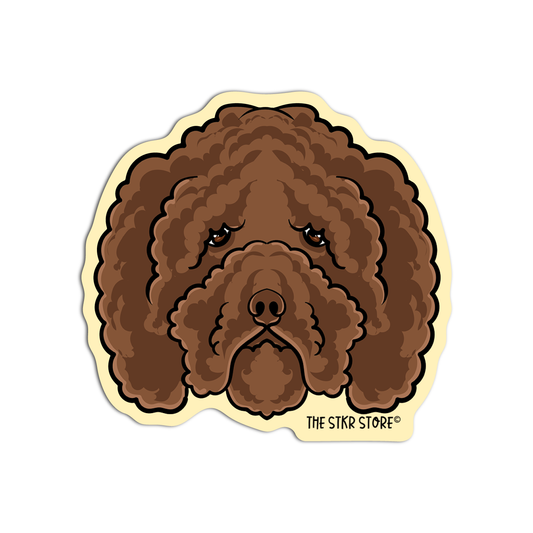 Barbet head Dog Breed