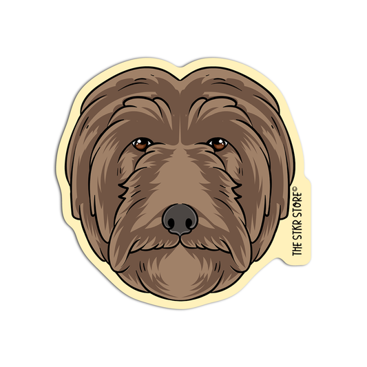 Labradoodle head Dog Breed