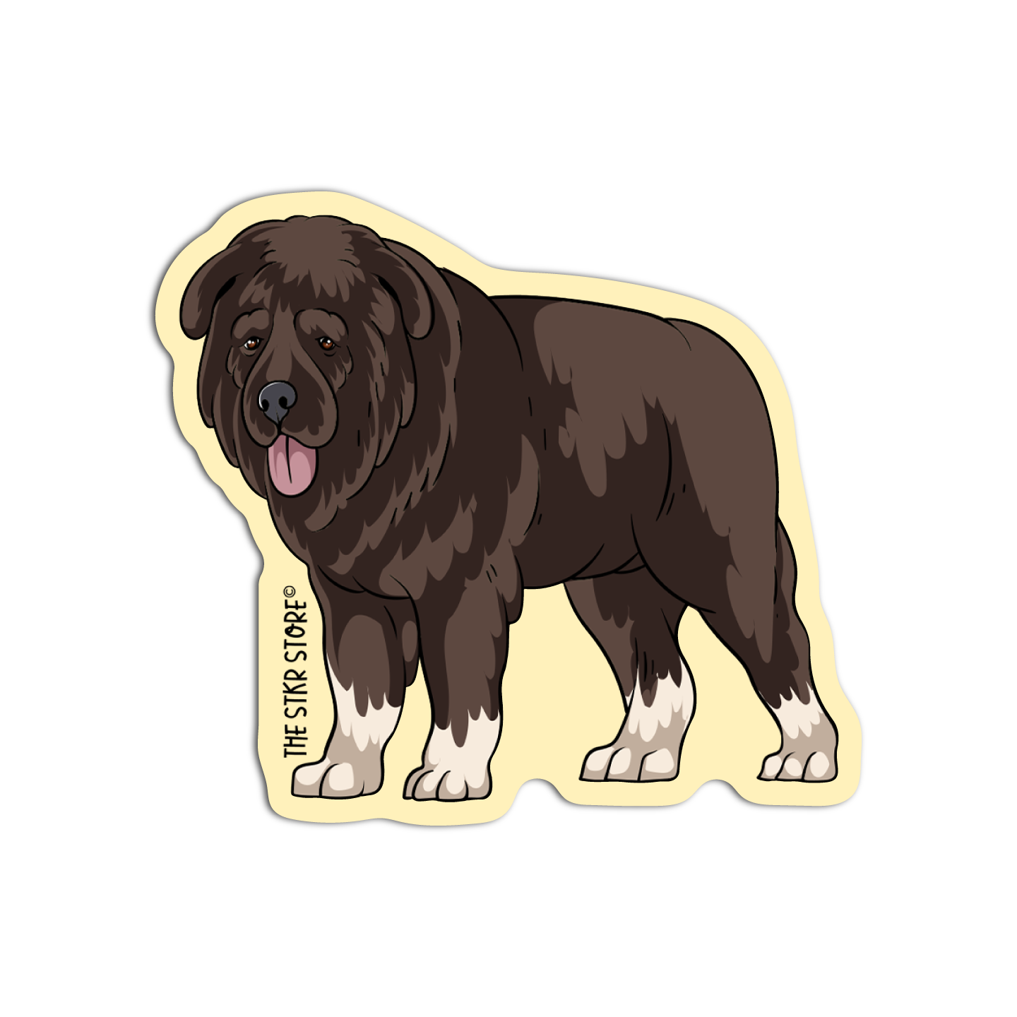 Newfoundland Dog Breed