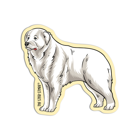 Slovak Cuvac Dog Breed