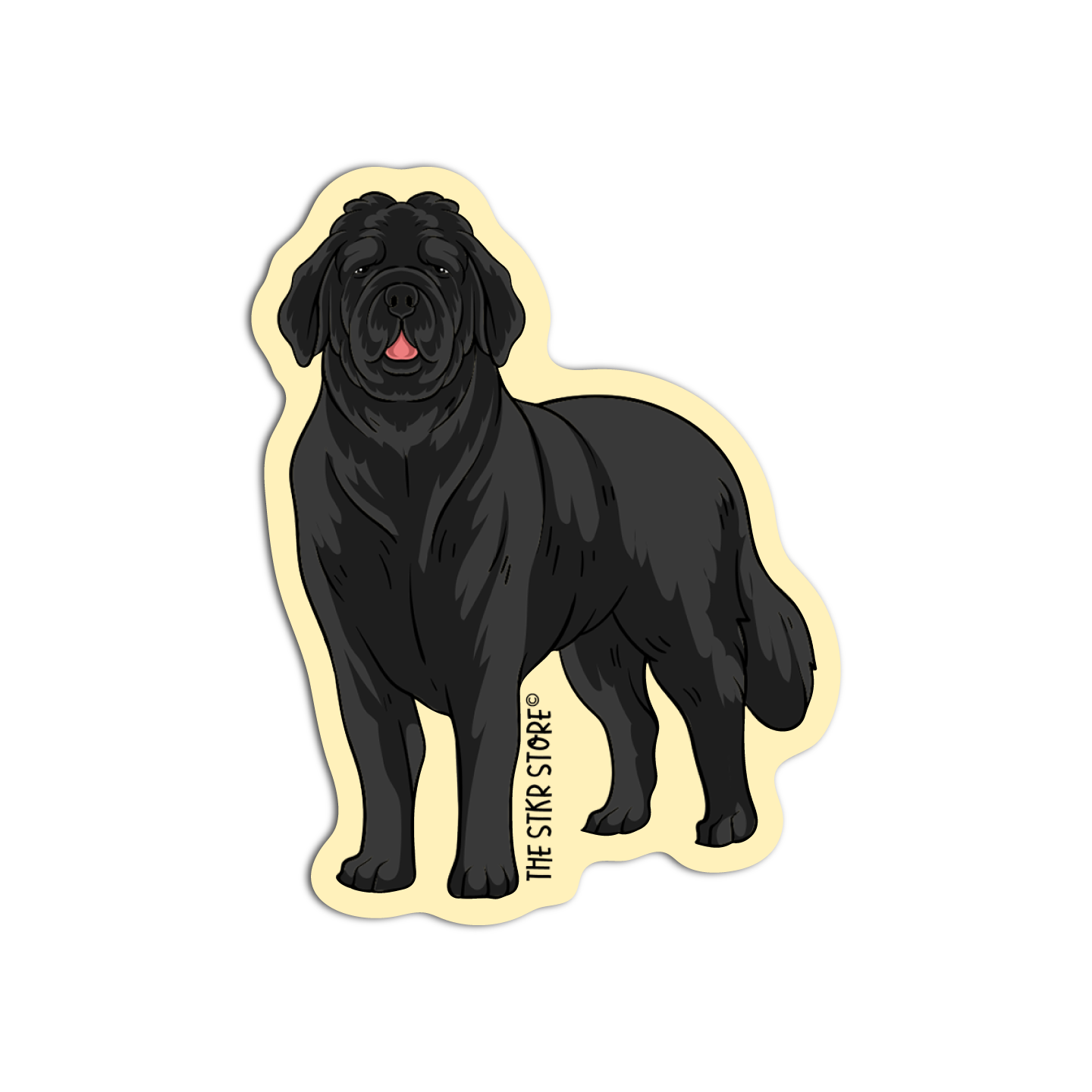 Newfoundland Dog Breed