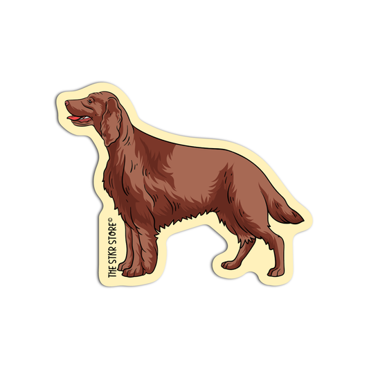 Irish setter Dog Breed