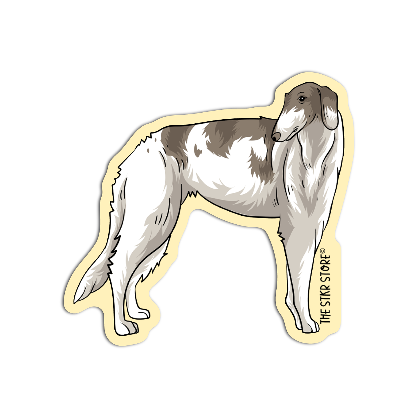 Silken Windhound Dog Breed