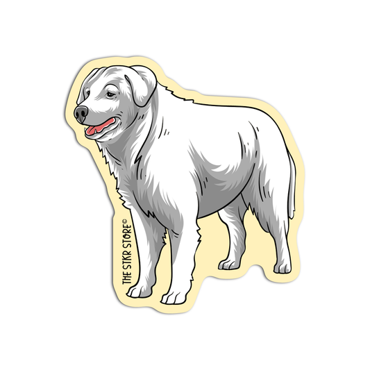 Slovak Cuvac Dog Breed
