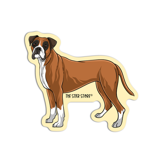 Boxer Dog Breed
