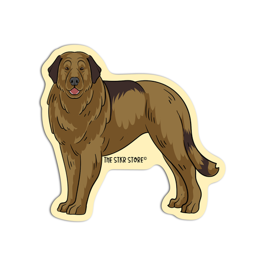 Leonberger Dog Breed